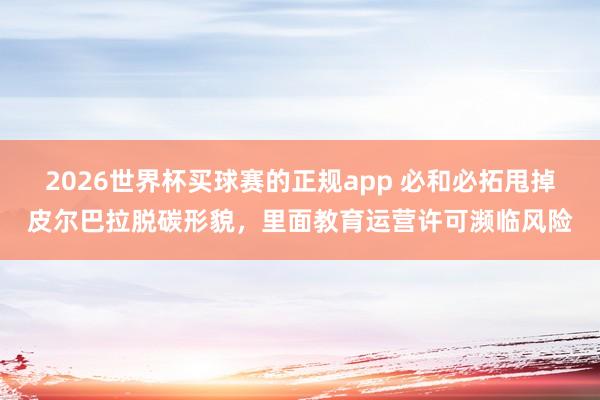 2026世界杯买球赛的正规app 必和必拓甩掉皮尔巴拉脱碳形貌，里面教育运营许可濒临风险