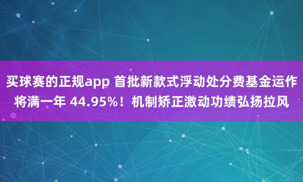 买球赛的正规app 首批新款式浮动处分费基金运作将满一年 44.95%！机制矫正激动功绩弘扬拉风
