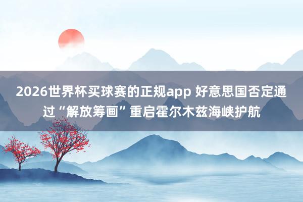 2026世界杯买球赛的正规app 好意思国否定通过“解放筹画”重启霍尔木兹海峡护航