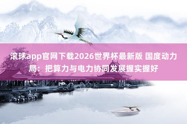 滚球app官网下载2026世界杯最新版 国度动力局：把算力与电力协同发展握实握好