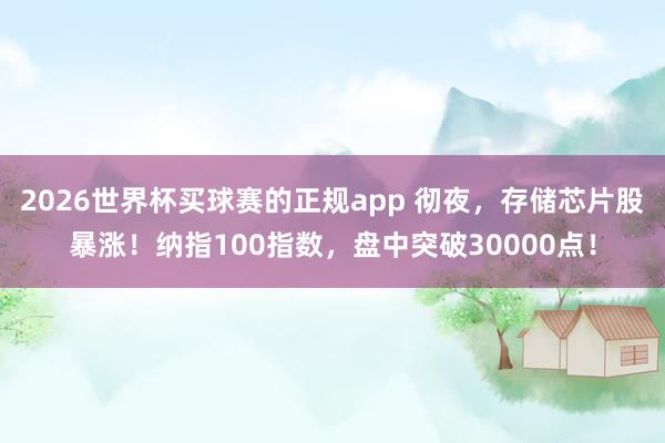 2026世界杯买球赛的正规app 彻夜，存储芯片股暴涨！纳指100指数，盘中突破30000点！