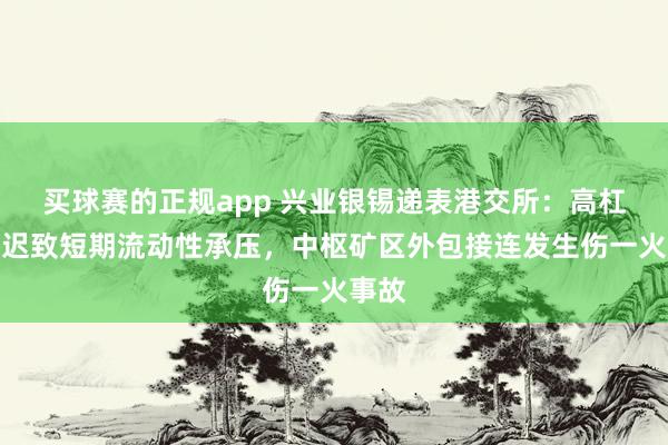 买球赛的正规app 兴业银锡递表港交所：高杠杆延迟致短期流动性承压，中枢矿区外包接连发生伤一火事故