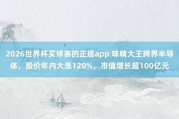 2026世界杯买球赛的正规app 味精大王跨界半导体，股价年内大涨120%，市值增长超100亿元
