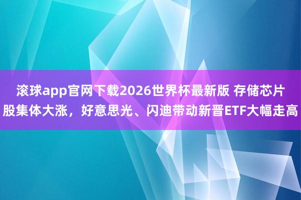 滚球app官网下载2026世界杯最新版 存储芯片股集体大涨，好意思光、闪迪带动新晋ETF大幅走高