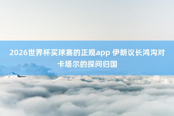 2026世界杯买球赛的正规app 伊朗议长鸿沟对卡塔尔的探问归国