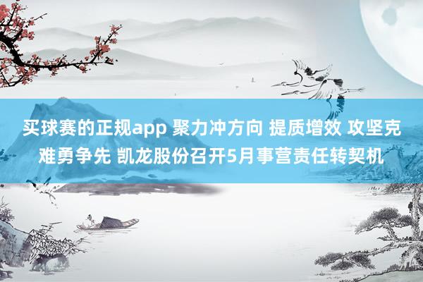 买球赛的正规app 聚力冲方向 提质增效 攻坚克难勇争先 凯龙股份召开5月事营责任转契机
