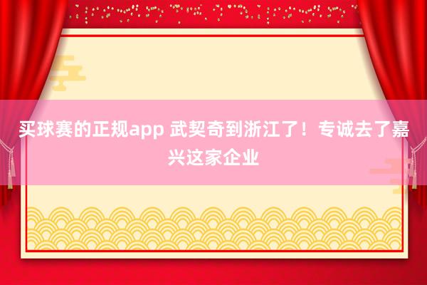 买球赛的正规app 武契奇到浙江了！专诚去了嘉兴这家企业