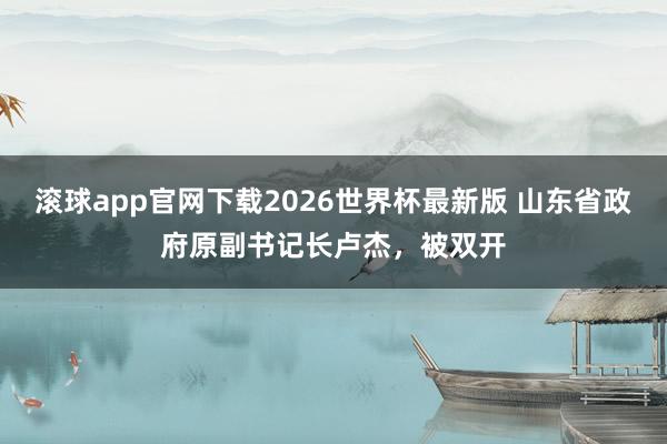 滚球app官网下载2026世界杯最新版 山东省政府原副书记长卢杰，被双开