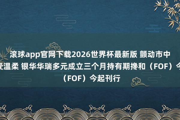 滚球app官网下载2026世界杯最新版 颤动市中FOF备受温柔 银华华瑞多元成立三个月持有期搀和（FOF）今起刊行