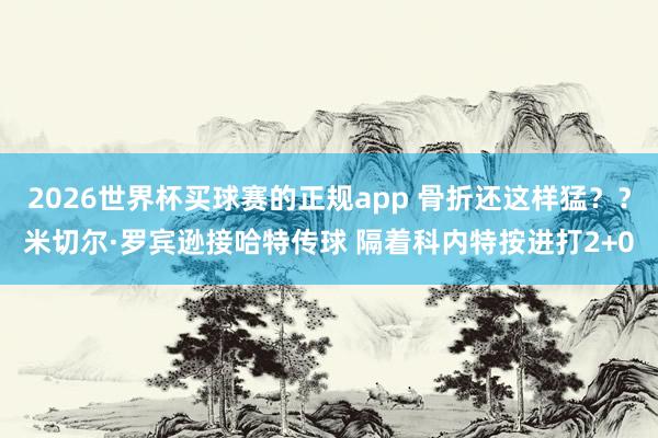 2026世界杯买球赛的正规app 骨折还这样猛？？米切尔·罗宾逊接哈特传球 隔着科内特按进打2+0