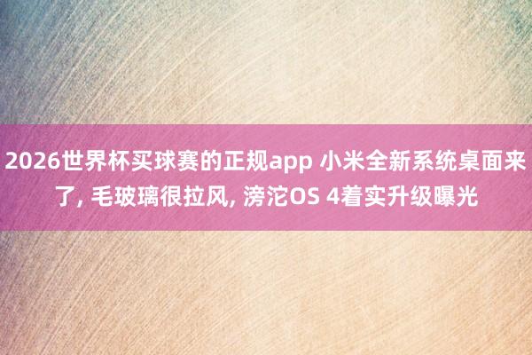 2026世界杯买球赛的正规app 小米全新系统桌面来了， 毛玻璃很拉风， 滂沱OS 4着实升级曝光