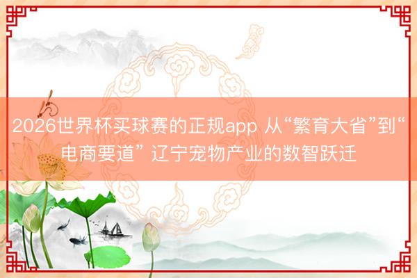 2026世界杯买球赛的正规app 从“繁育大省”到“电商要道” 辽宁宠物产业的数智跃迁