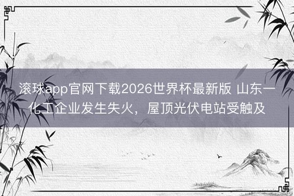滚球app官网下载2026世界杯最新版 山东一化工企业发生失火，屋顶光伏电站受触及