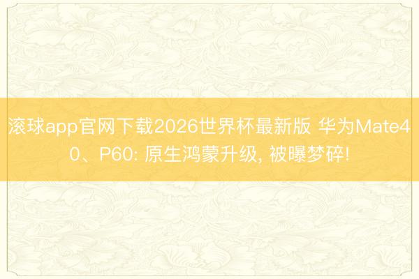 滚球app官网下载2026世界杯最新版 华为Mate40、P60: 原生鸿蒙升级， 被曝梦碎!